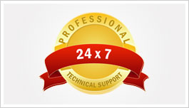 professional 24 hours support guarantee